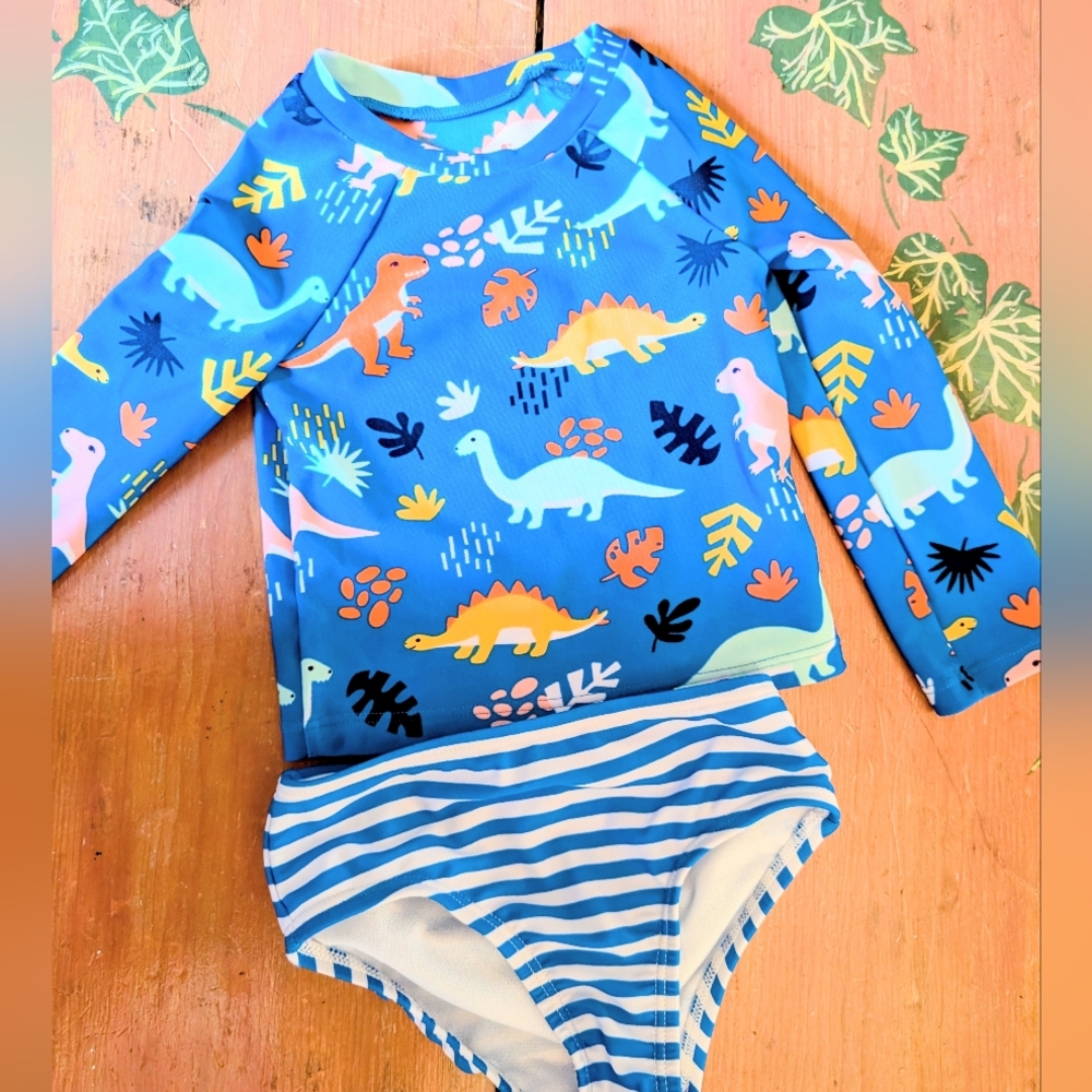 Cat & Jack Blue Dinosaur Rashguard Set